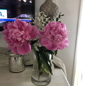 Meet your Posher, Barbara